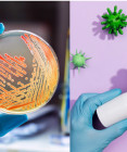 Antimikrobiální rezistence: Proč vzniká rezistence na antibiotika či antivirotika?